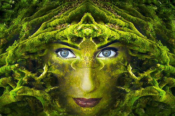 Практикум-интенсив «Травоведение»