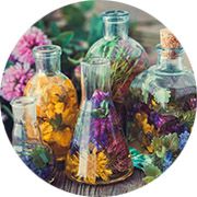 Как научиться исцелять себя и других с помощью растений?